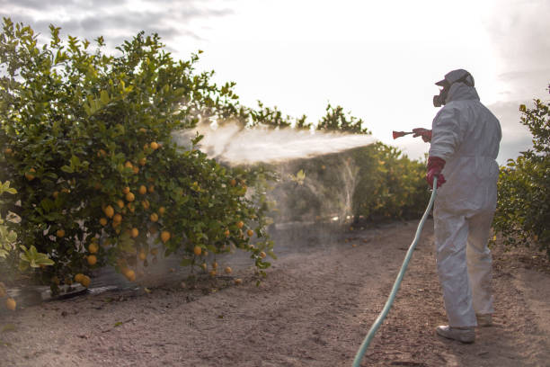 Pest Control for Hotels in Denair, CA